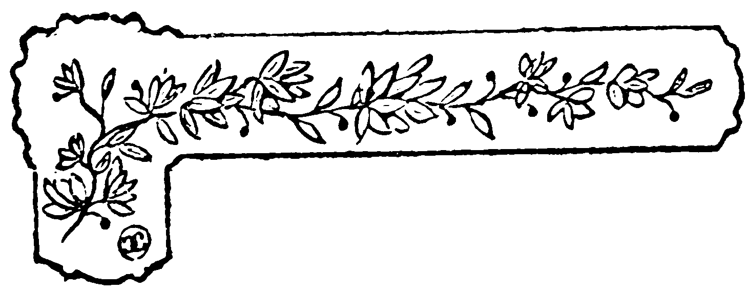 decoracin