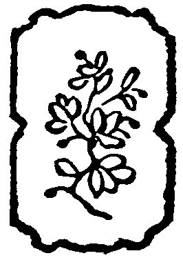 decoracin