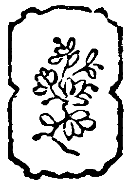decoracin