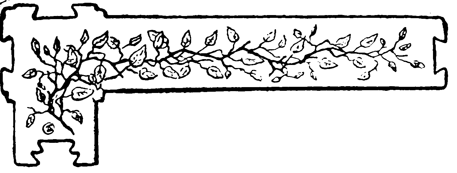 decoracin