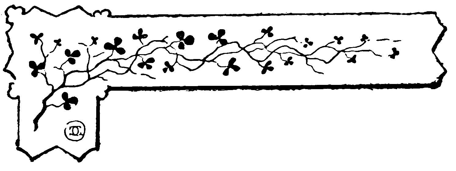 decoracin