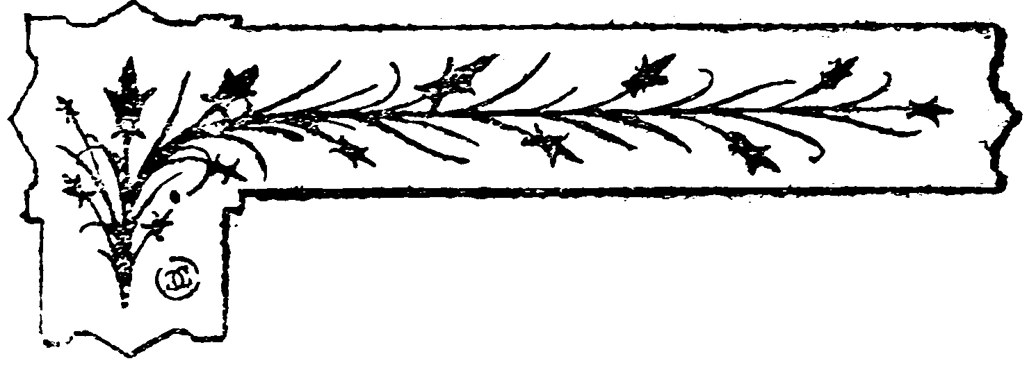 decoracin