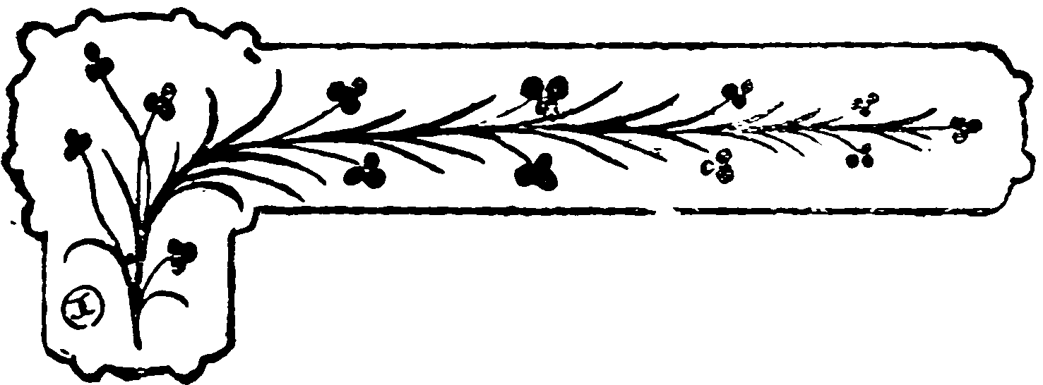 decoracin