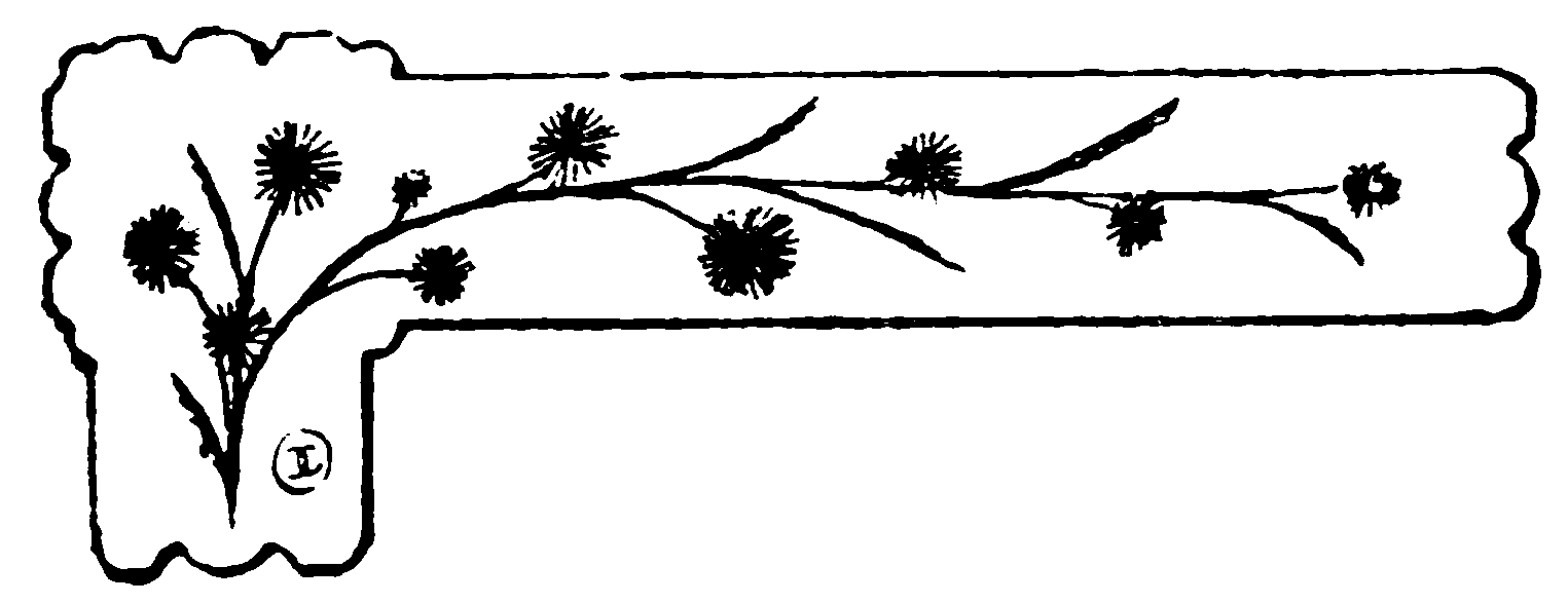 decoracin