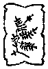 decoracin
