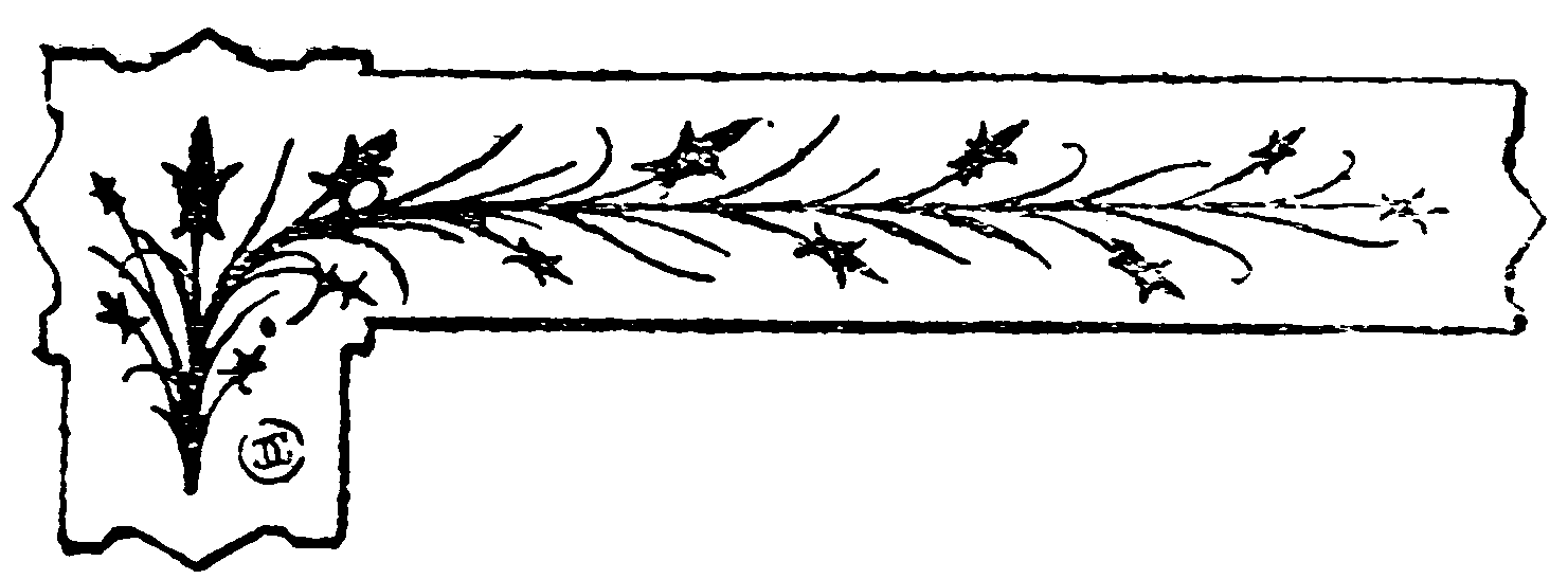 decoracin