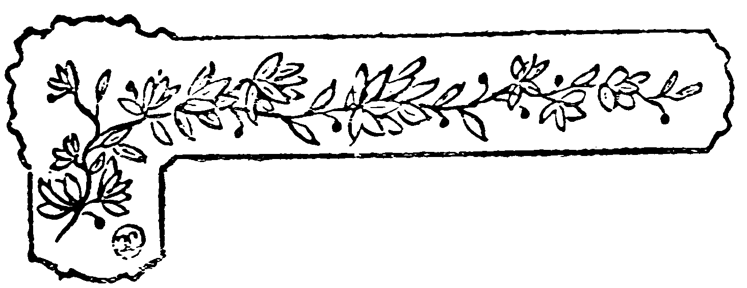 decoracin