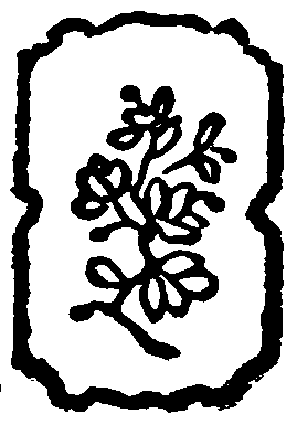 decoracin
