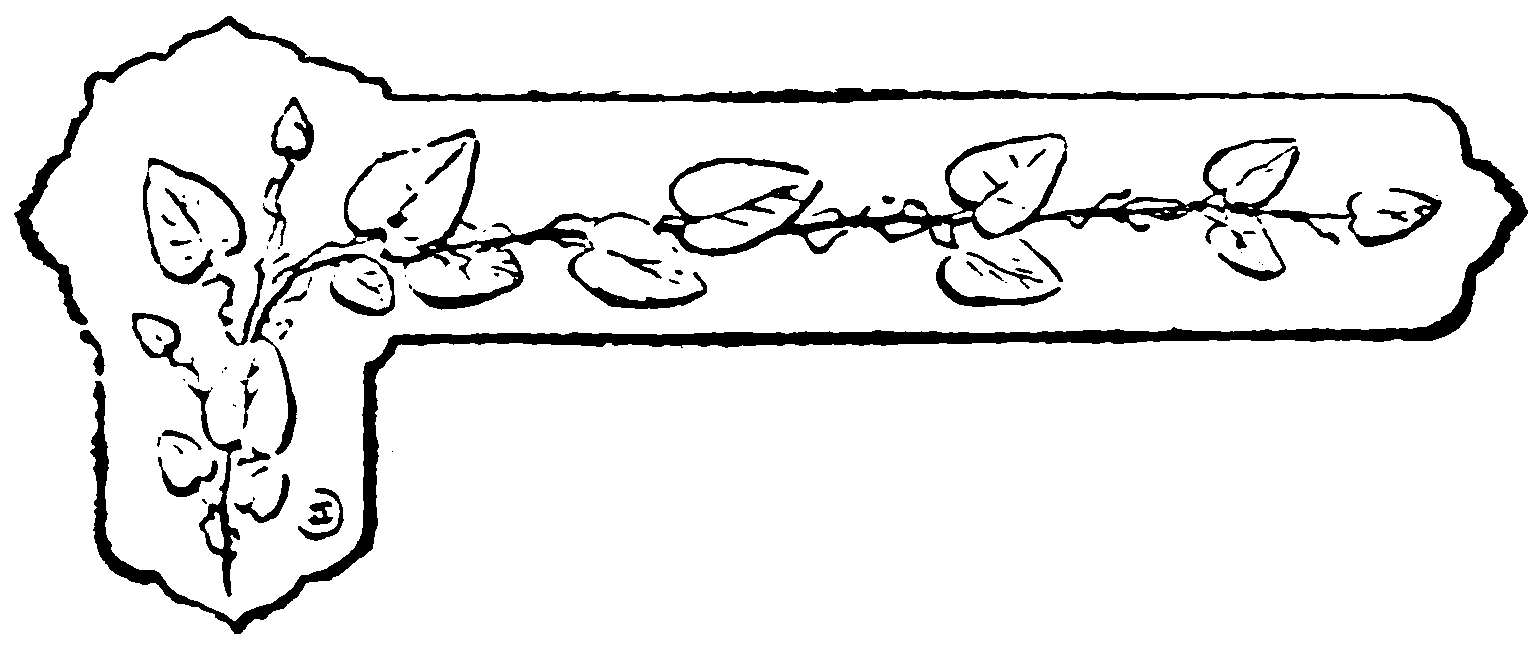 decoracin