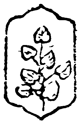 decoracin