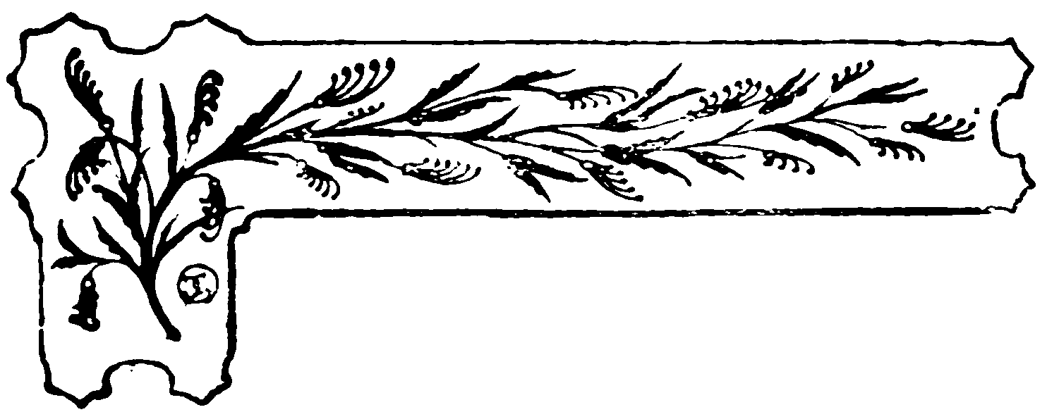decoracin