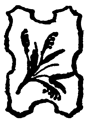 decoracin