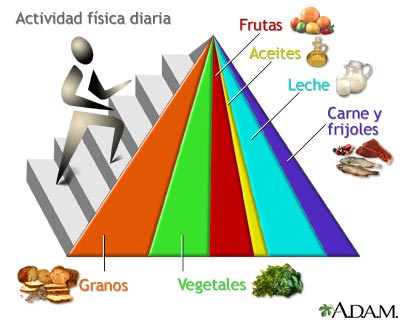 Pirámide de grupos básicos de alimentos