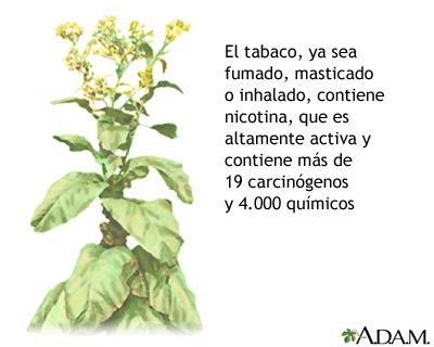 Tabaco y sustancias químicas