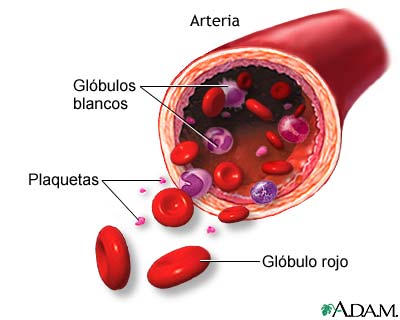 Elementos de la sangre formados