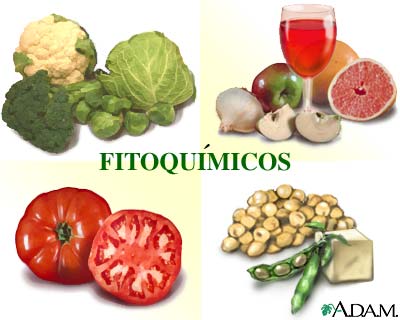 Fitoqu&iacute;micos
