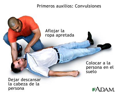 Procedimiento, parte 1