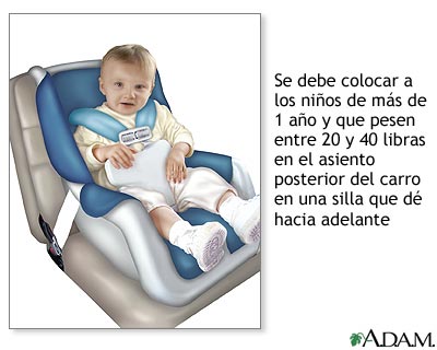 Silla para el automóvil que dé hacia delante