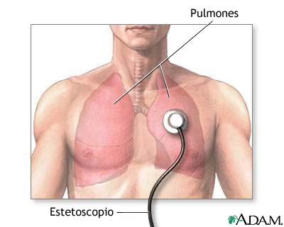 Sonidos de la respiración