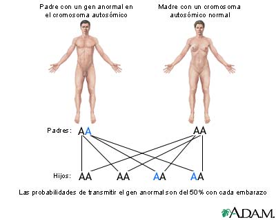Genes autosómicos dominantes