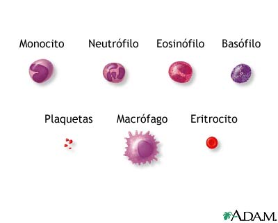 Células sanguíneas