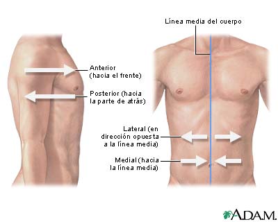 Orientación lateral