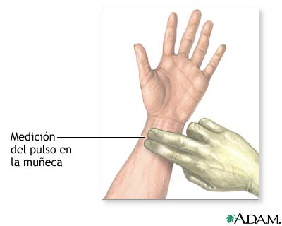 Pulso de la mueca