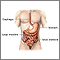 Sangrado del tracto gastrointestinal - Serie